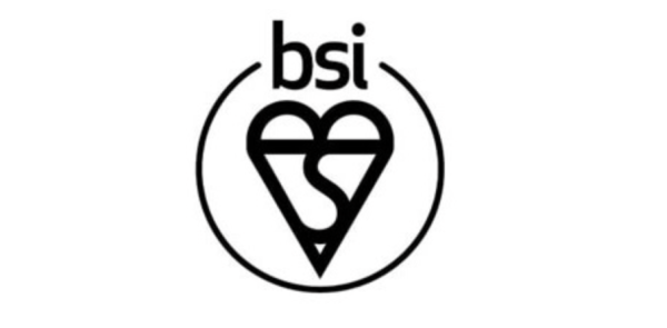 Wat is BSI en waarom is het een belangrijke speler in de schoonmaakbranche?